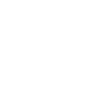 Certificate Icon